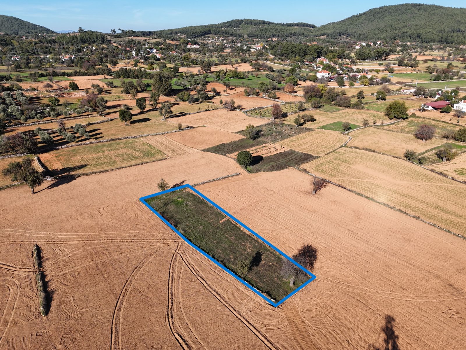 Milas Fesleğen’de 902 m² Düz Verimli Tarla – Doğayla İç İçe