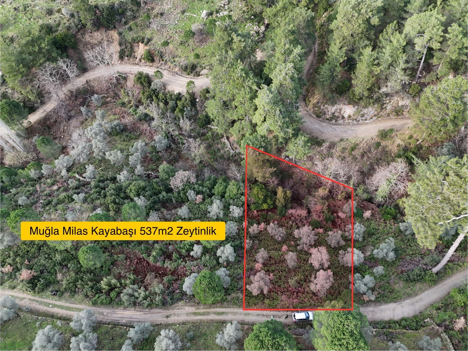 Milas Kayabaşı Mah Kaynak Suyu Olan Bungalov & Tinyhouse Arazisi
