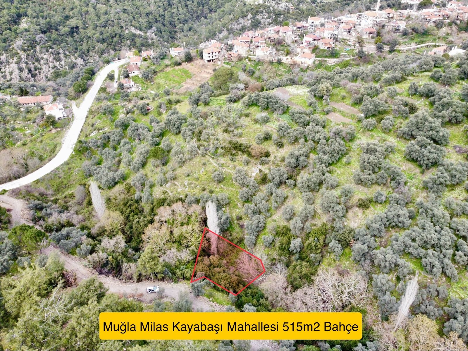 Milas’ta Doğayla İç İçe 515m² Satılık Bahçe