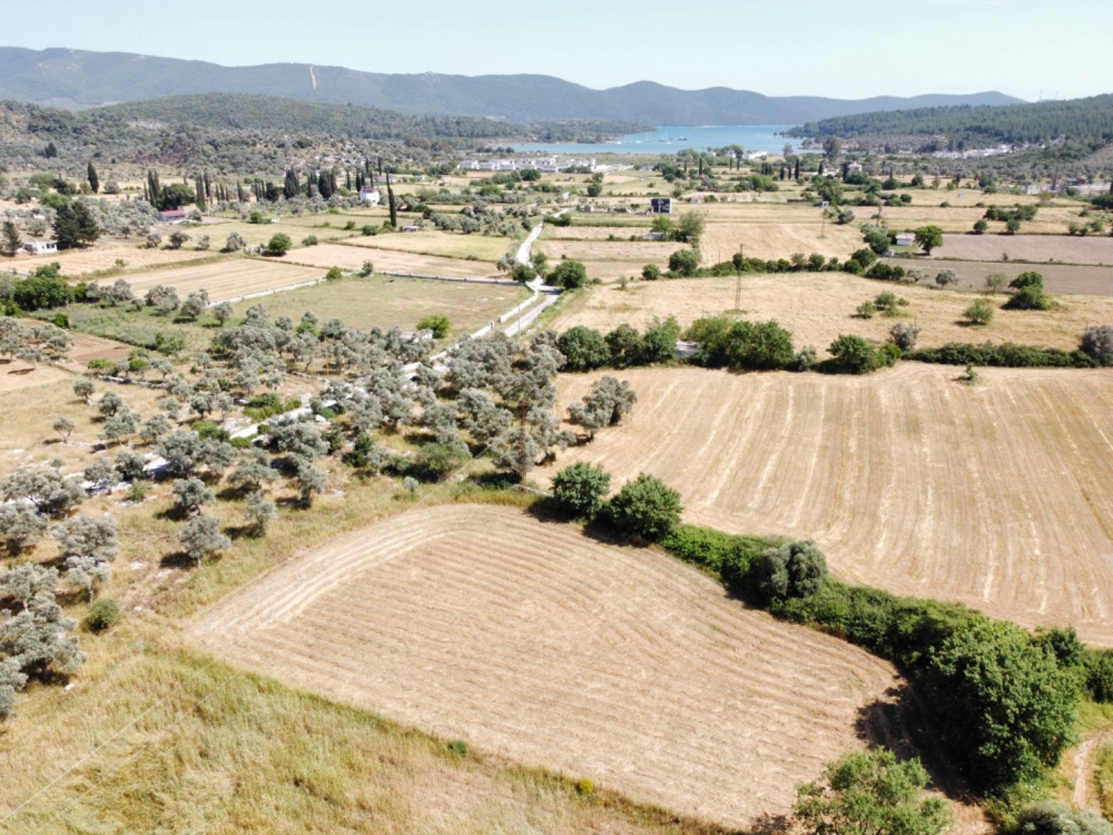 Kazıklı’da Asfalt Cepheli, Elektrikli, Müstakil Arazi – Kaçırılmayacak Yatırım