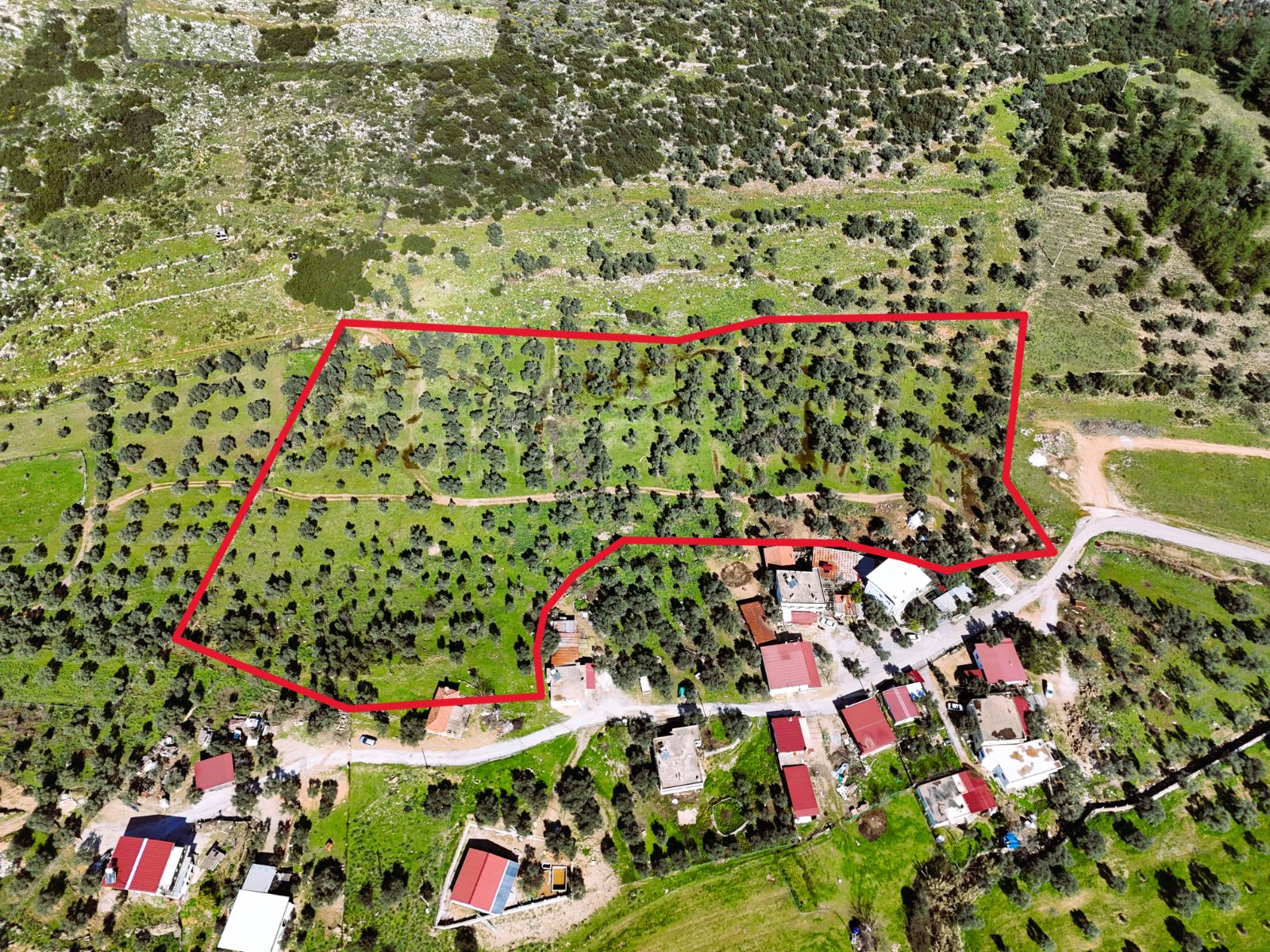 Milas Burgaz’da İmara Komşu 8.815 m² Yatırımlık Arazi