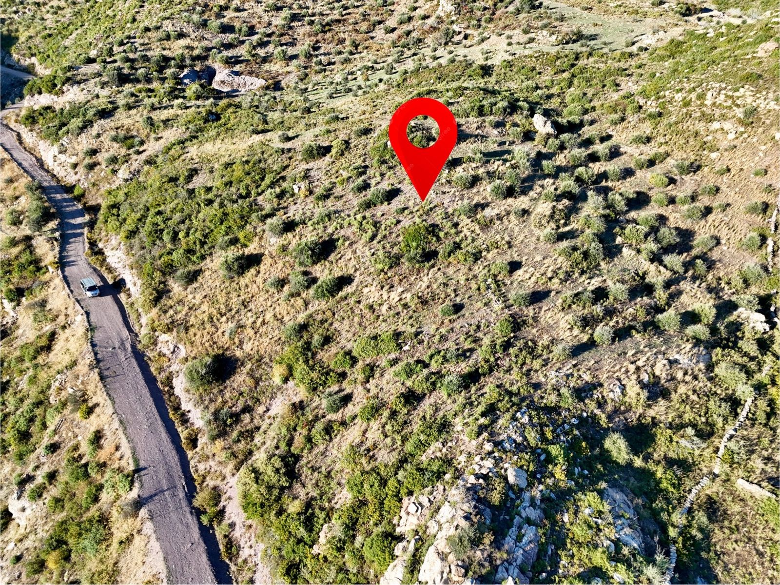 Yatırım İçin Fırsat: Milas Akçakayada 12.433 m² Zeytinli Tarla