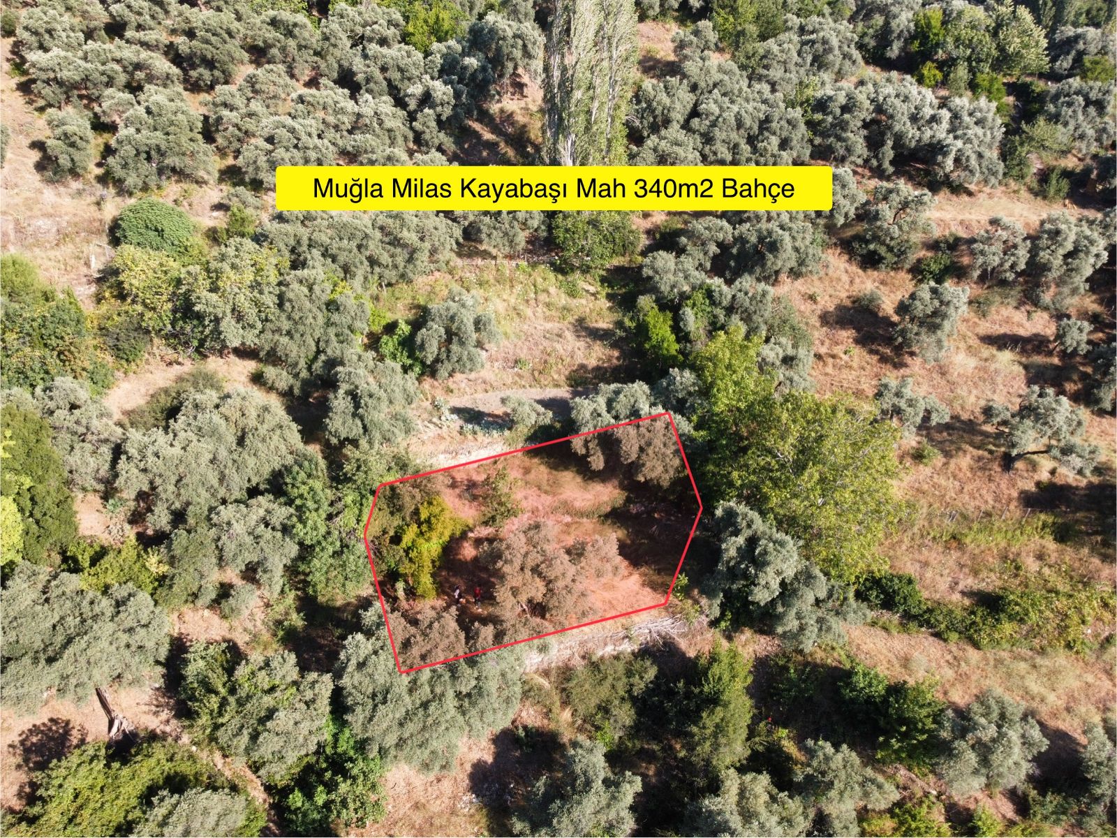 Kaçmaz! Milas Kayabaşında 340 m² Müstakil Tapulu Bahçe