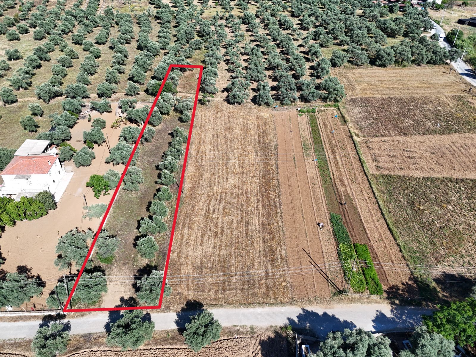 Milas Menteş'te 250m² İmarlı Arsa | Tek veya İkiz Villa